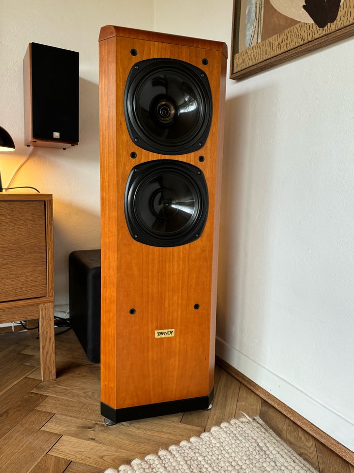 Højttaler, Tannoy, D500