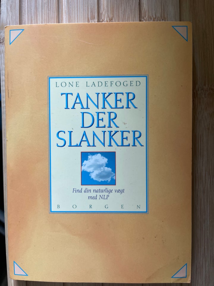 Tanker der slanker , Lone Ladefoged