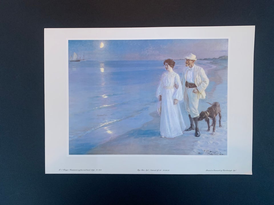 Print PS Krøyer  Michael