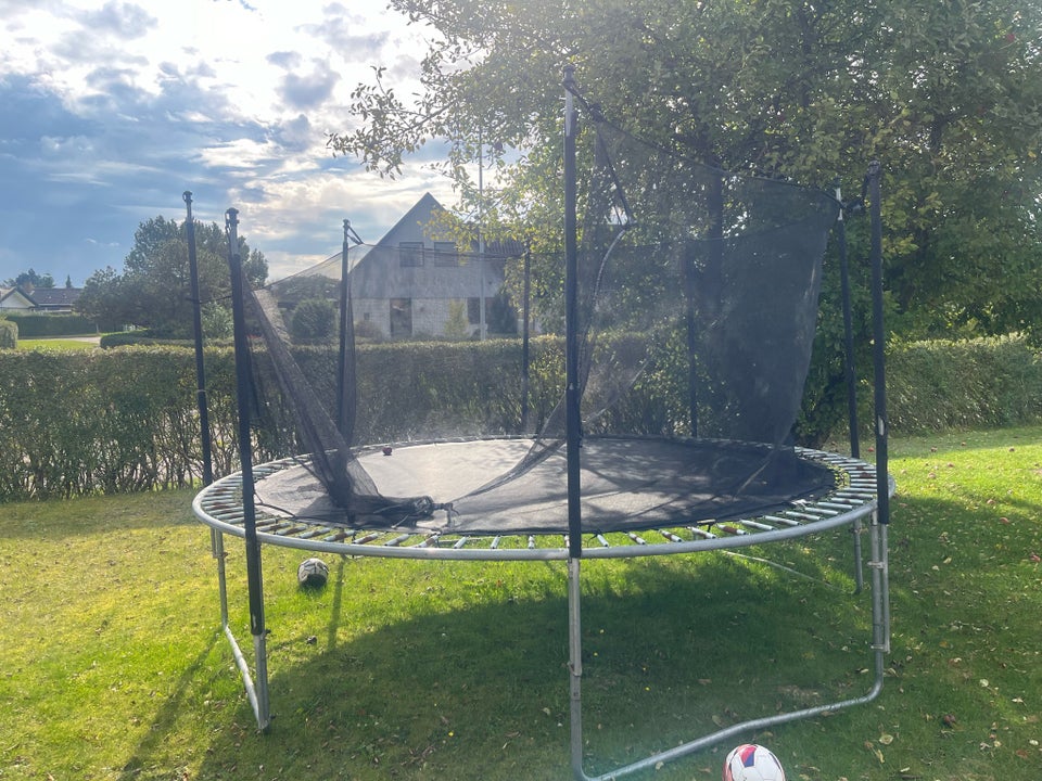 Trampolin, Trampolin, Harald