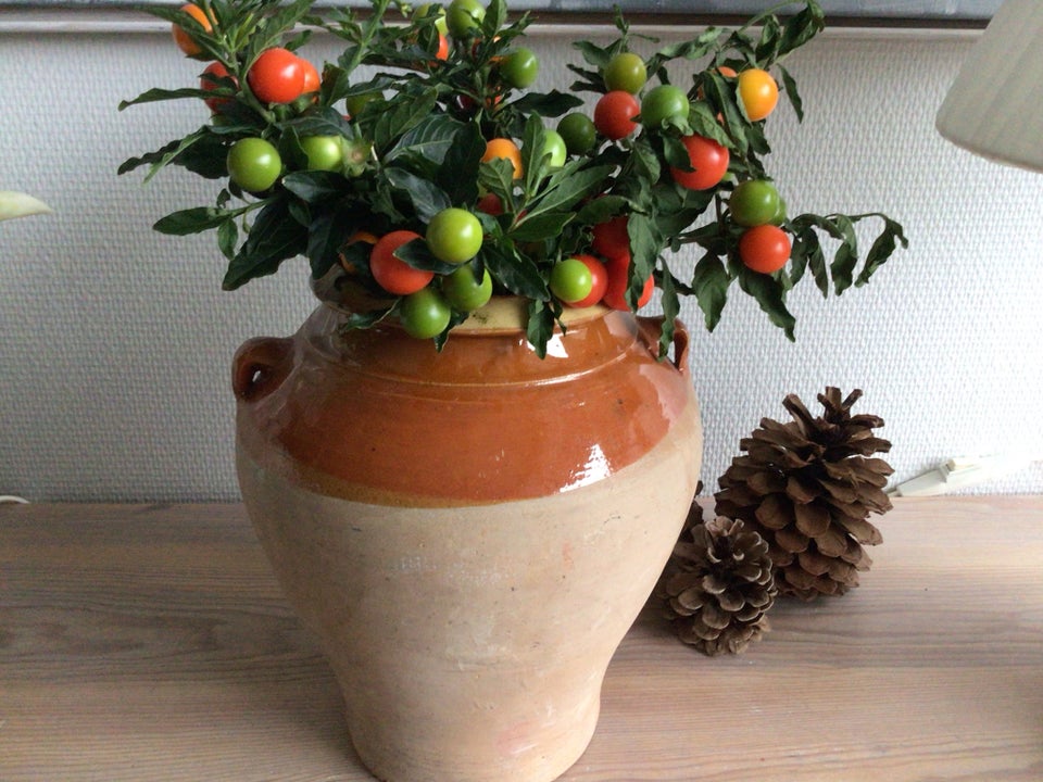 Keramik, Gl. Oliven krukke/vase