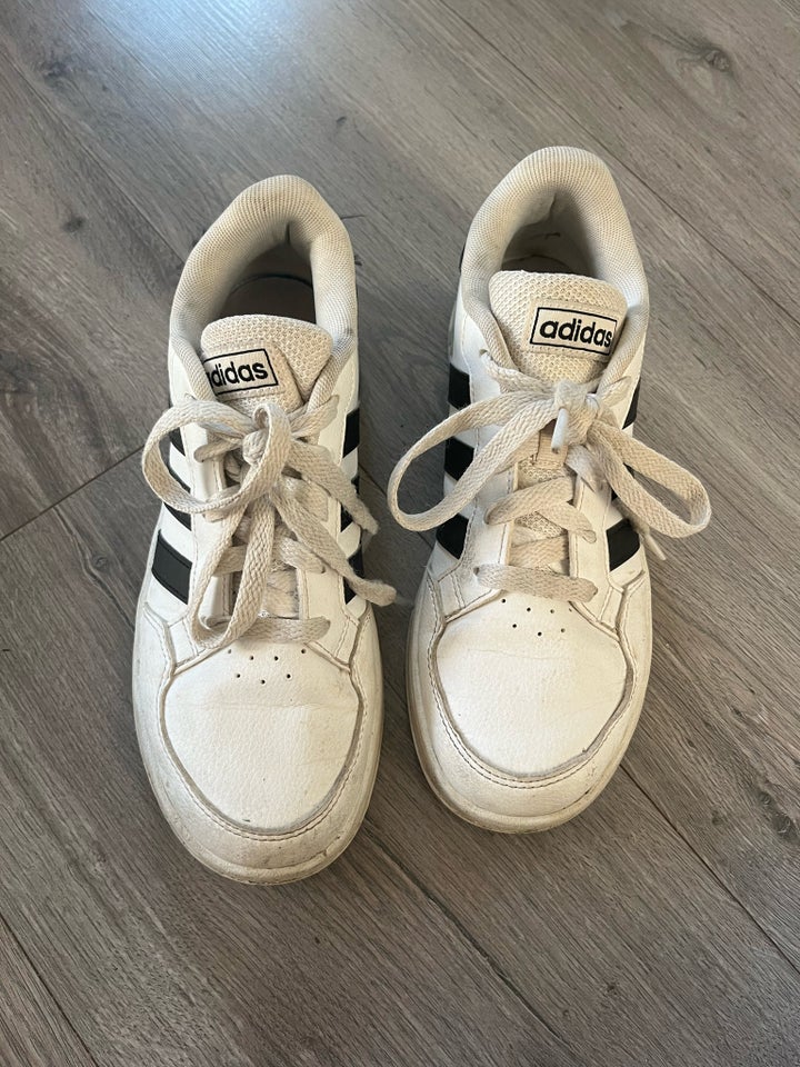 Sneakers, str. 36, Adidas