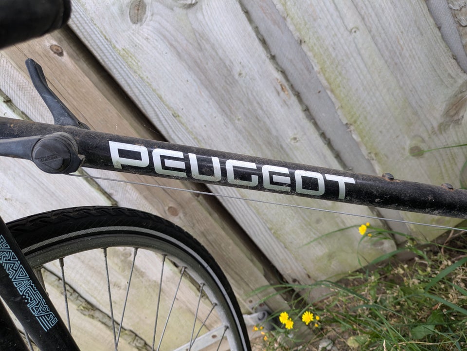 Dameracer Peugeot