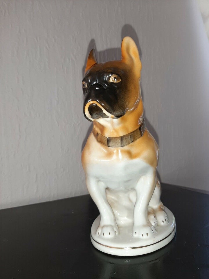 USSR lomonosov boxer / Bull dog