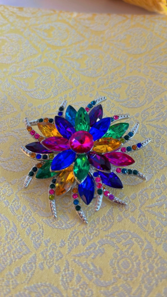 Briller Brand new rainbow broche