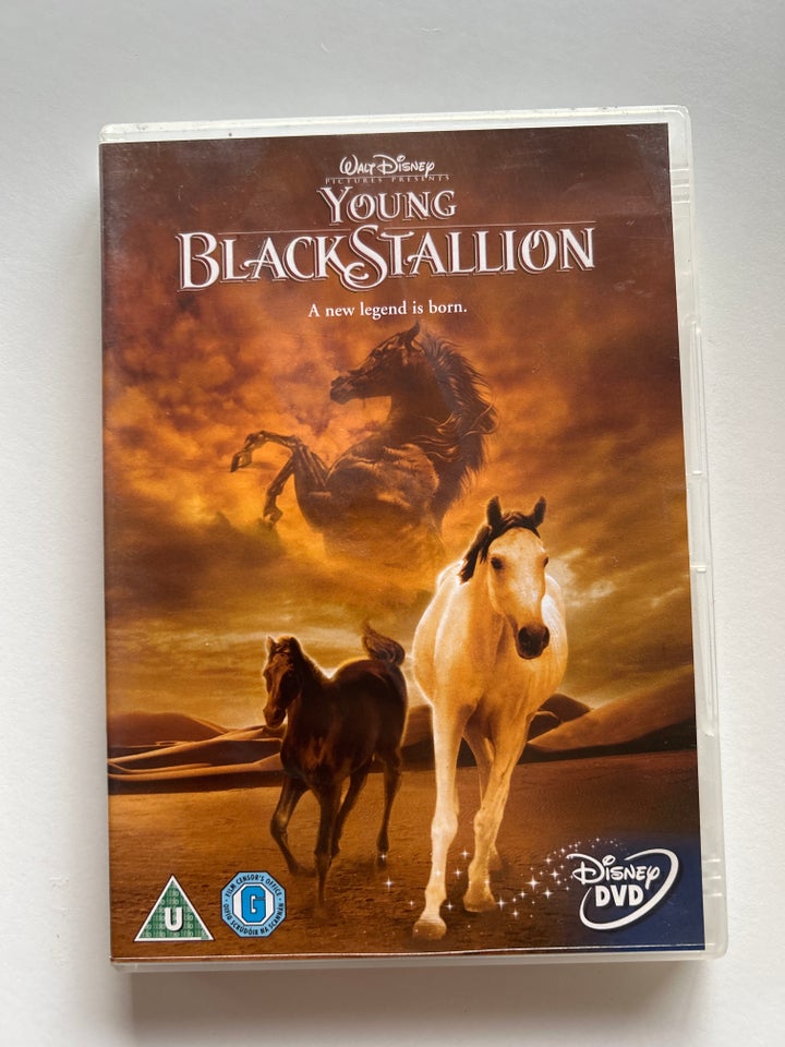 Young Black Stallion, instruktør