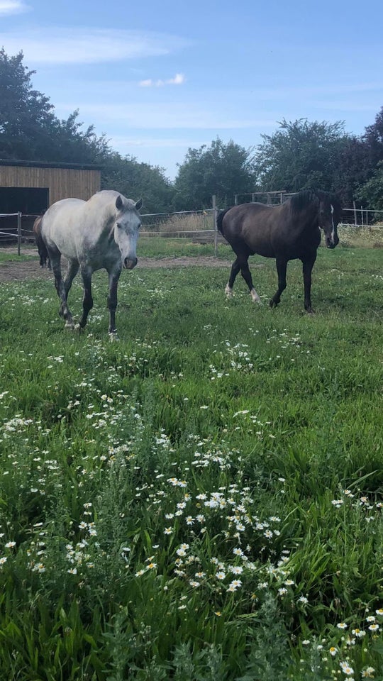 Andet, Smuk løsdrift Roskilde