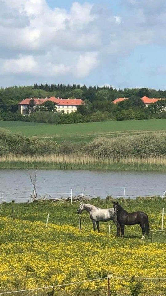 Andet, Smuk løsdrift Roskilde