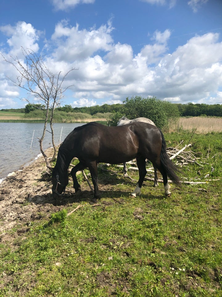 Andet, Smuk løsdrift Roskilde