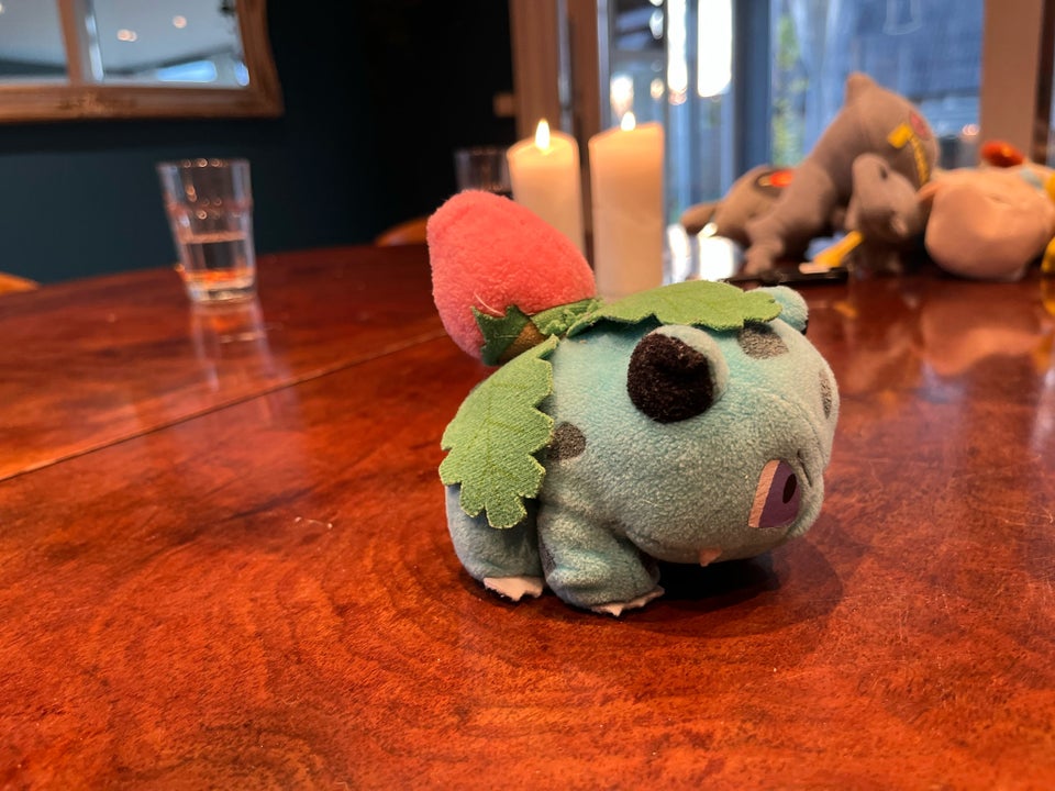 Bulbasaur Pokemon bamse , Pokemon