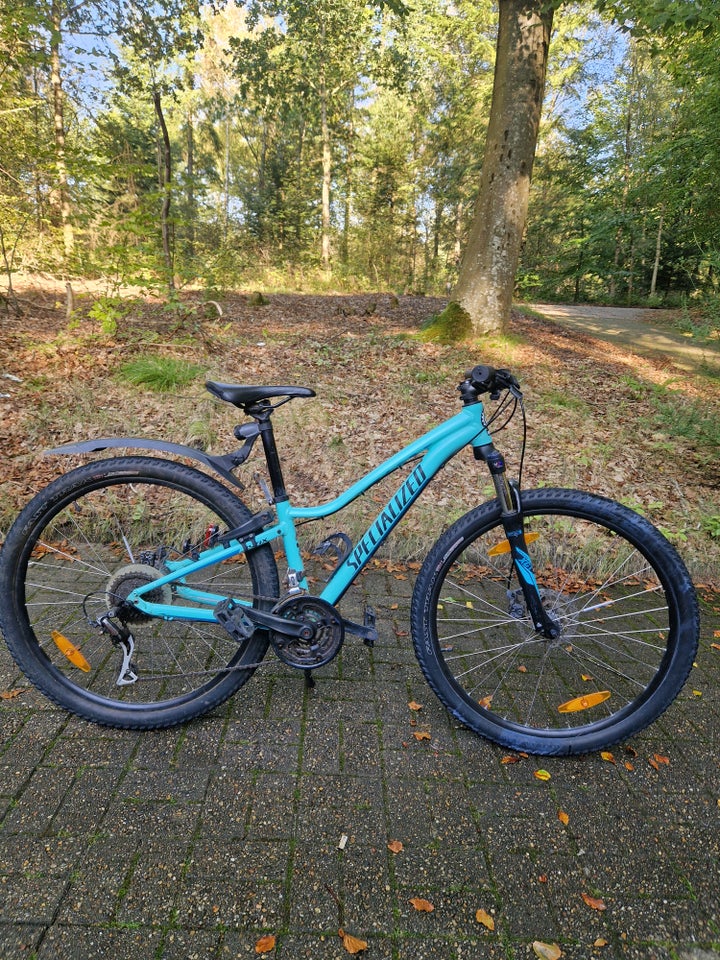 Specialized anden mountainbike