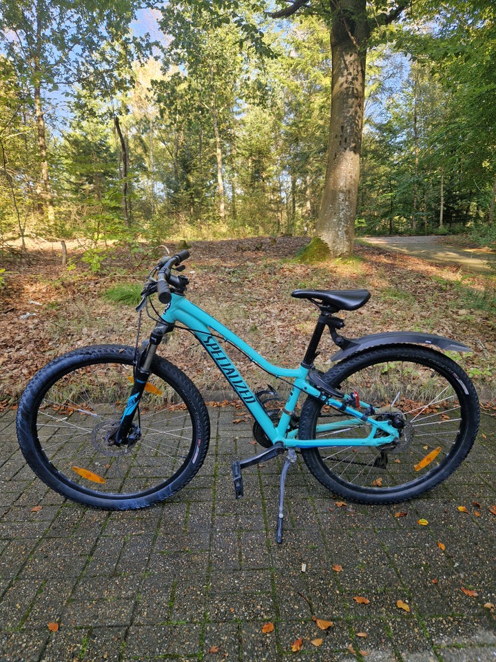 Specialized anden mountainbike