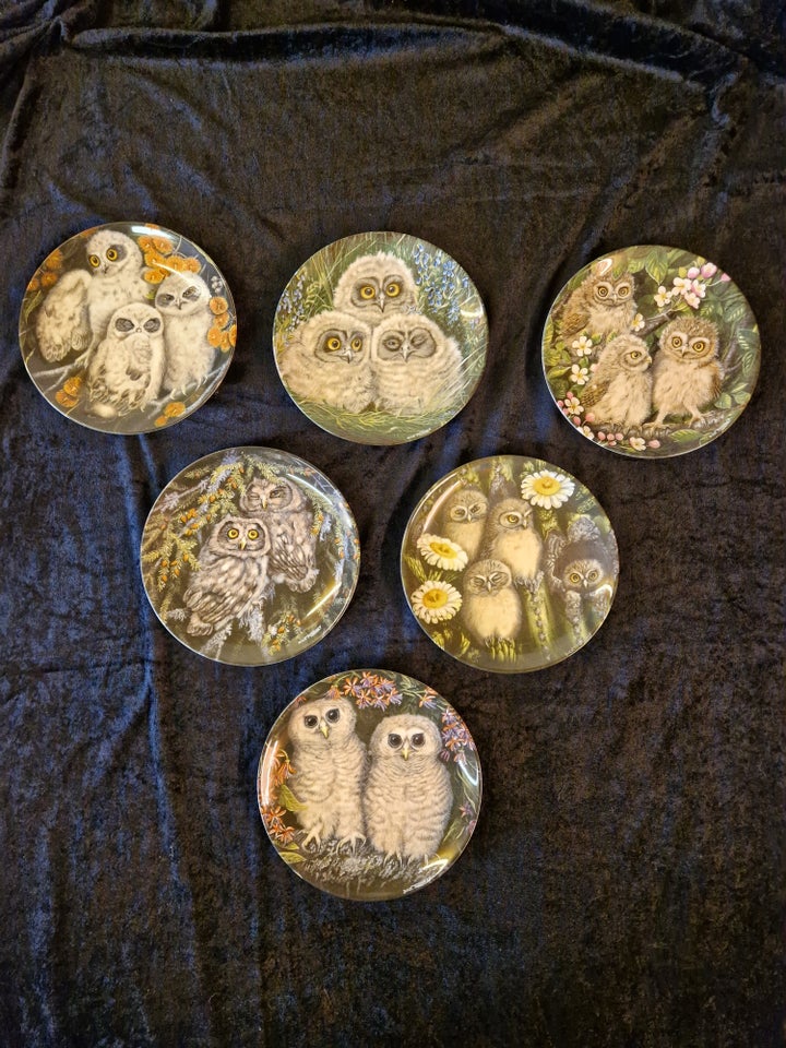 The baby owls platter Weagwood