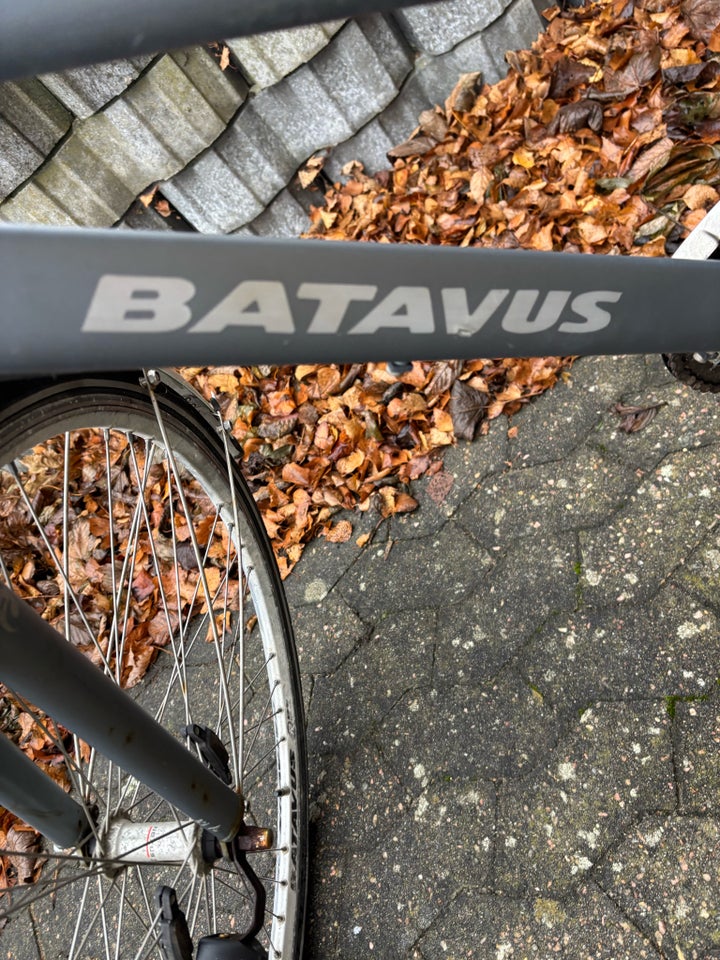 Damecykel, Batavus, 53 cm stel