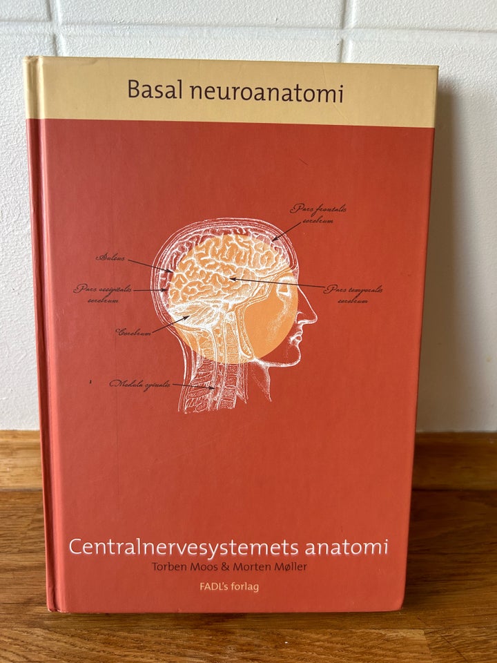 Basal neuroanatomi –