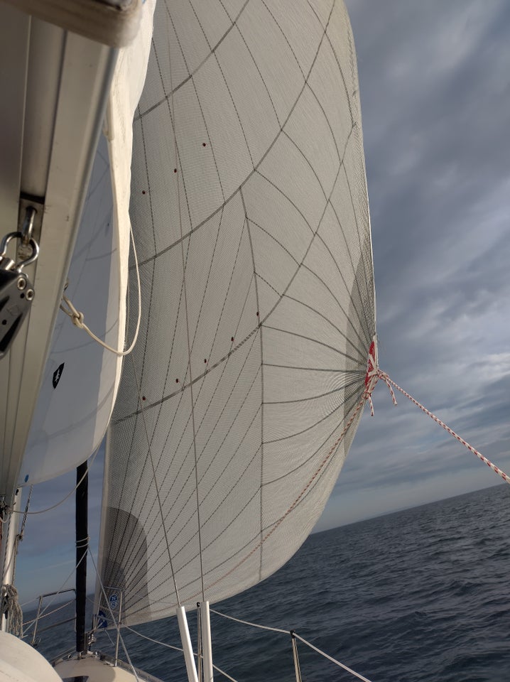 North Sails Code 1 rulle fo