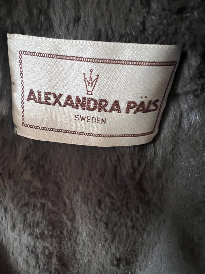 Pels, str. 42, Alexandra päis