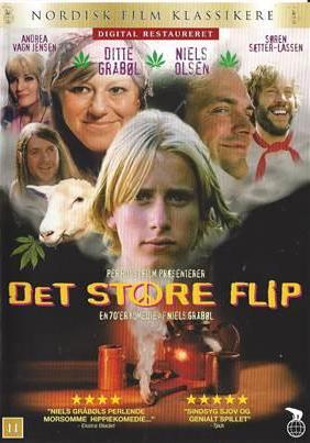 Det store flip instruktør Niels