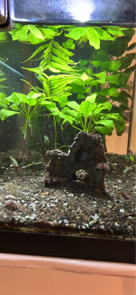 Akvarium, 50 liter