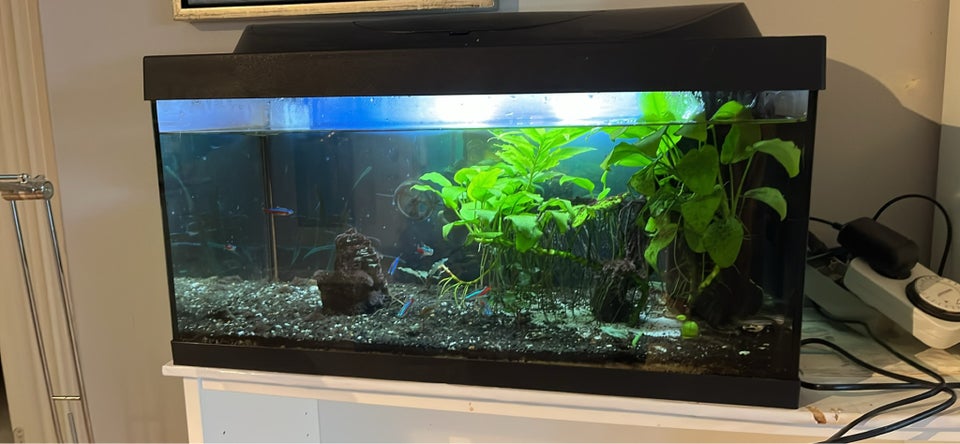 Akvarium, 50 liter