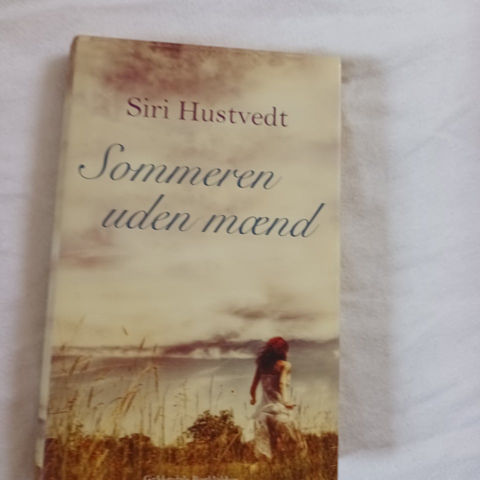 Sommeren uden mænd, Siri Hustvedt,