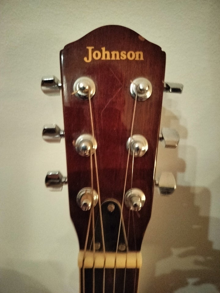 Rejse guitar, Johnson Trailblazer