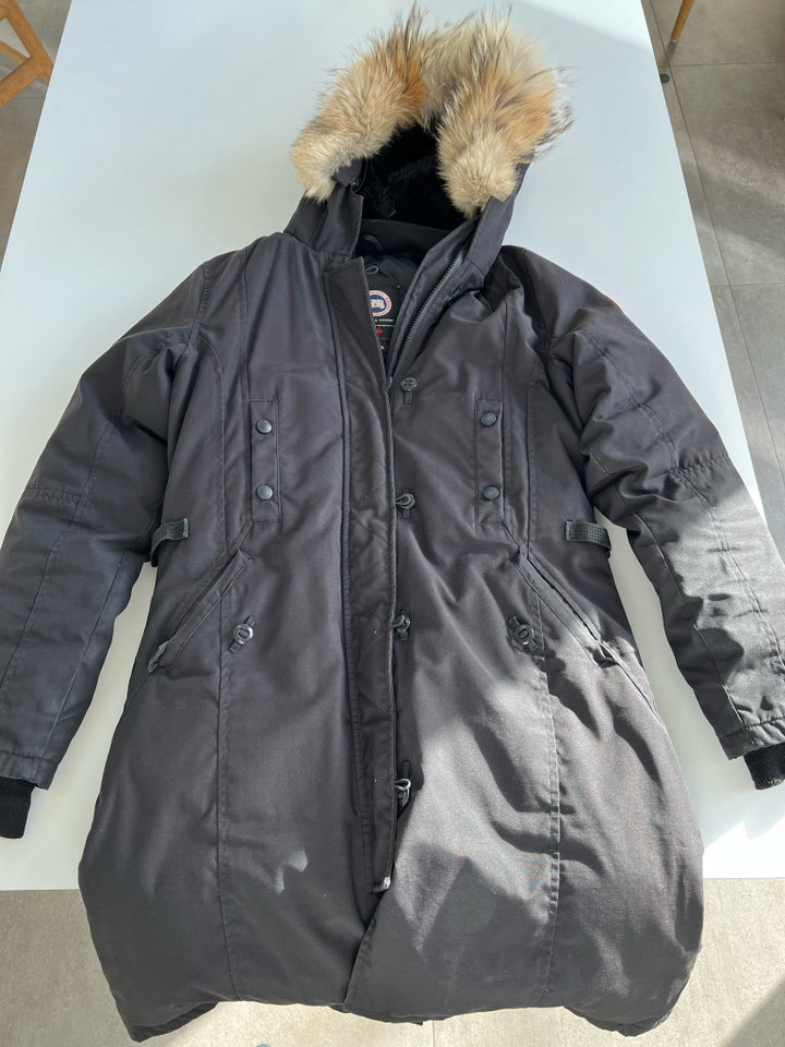 Jakke, str. 38, Canadian Goose