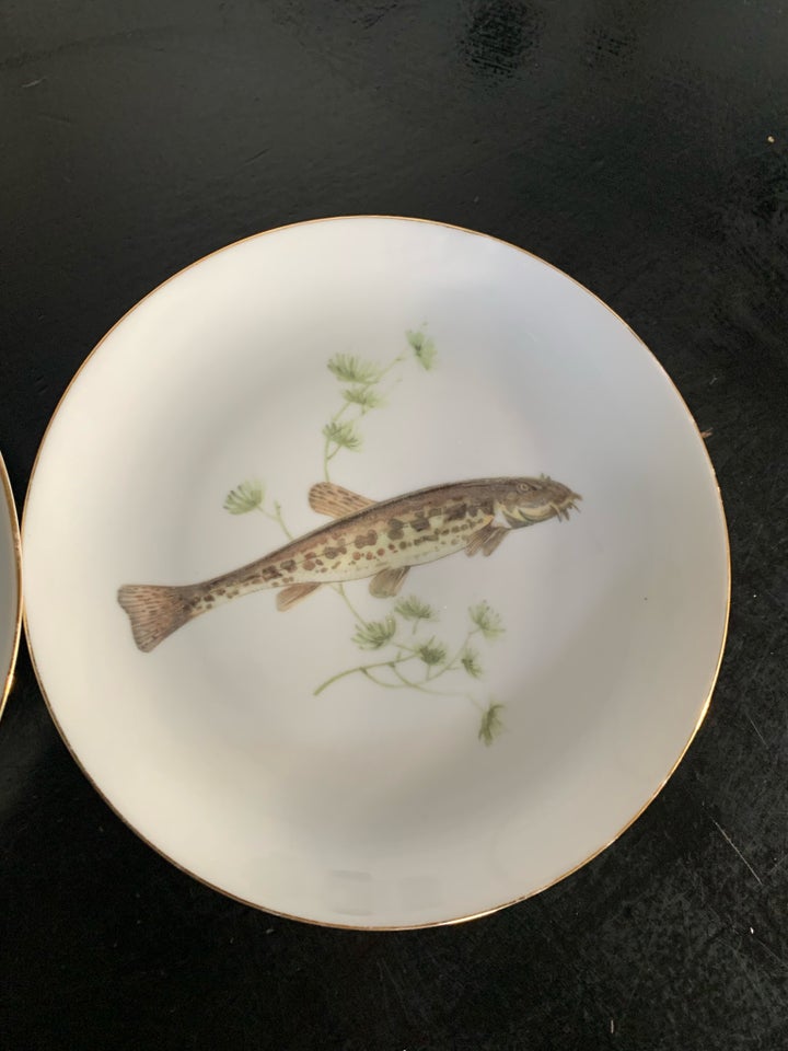 Porcelæn Frokosttallerkener