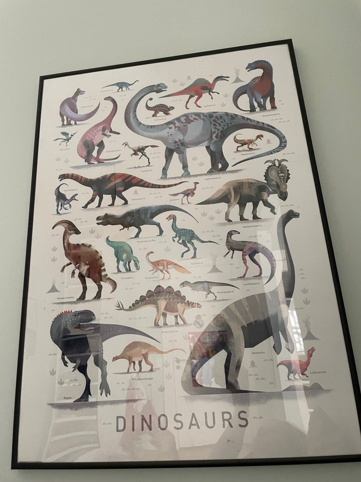 Plakat HM motiv: Dinosaur