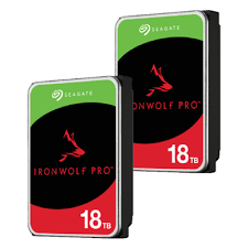 Seagate IronWolf Pro 18 GB