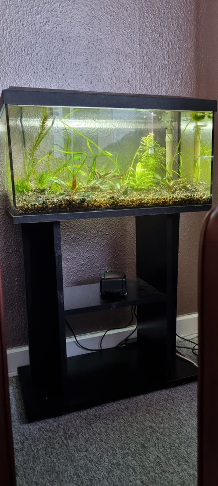 Akvarium, 54 liter