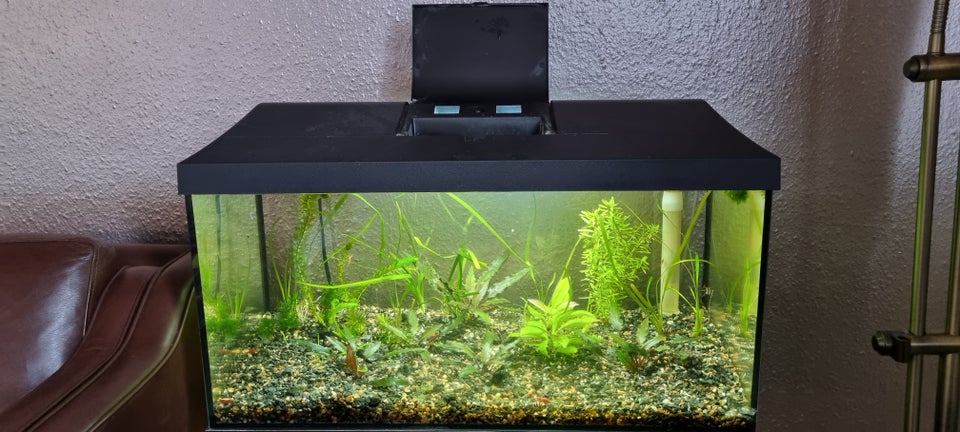 Akvarium, 54 liter