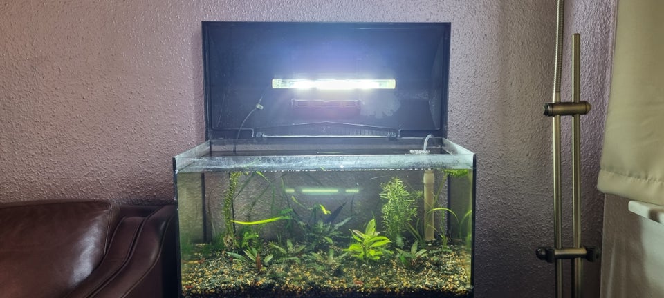 Akvarium, 54 liter