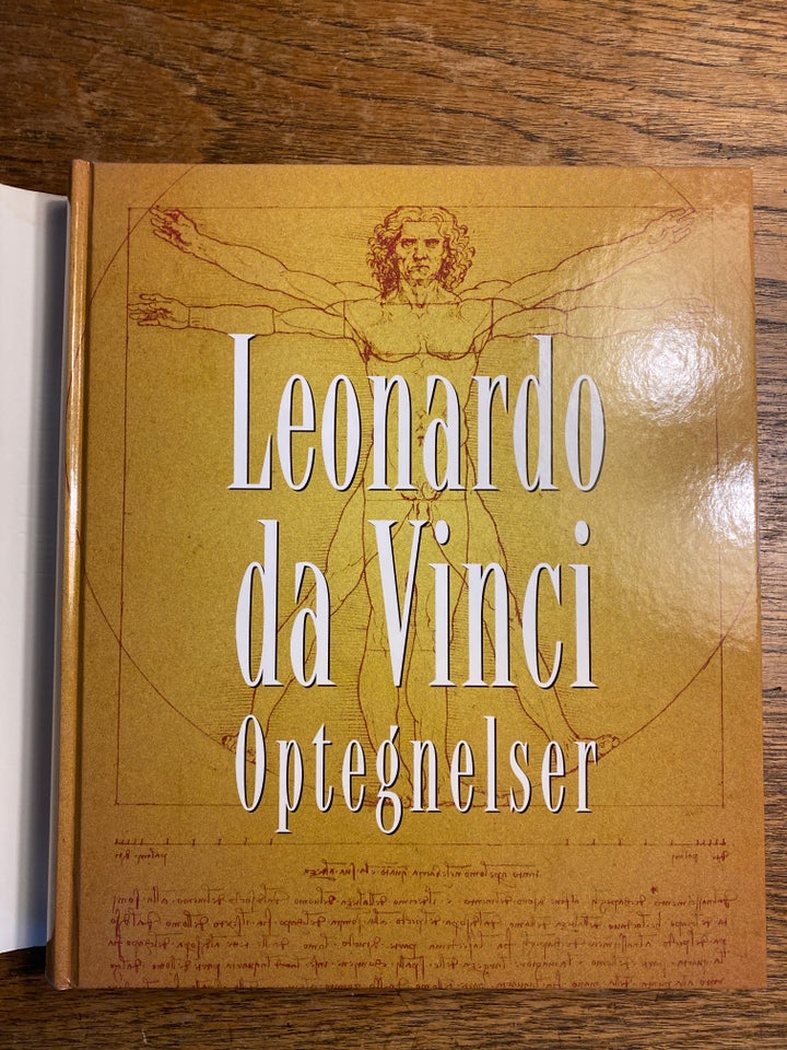 Leonardo da Vinci - Optegnelser, H.