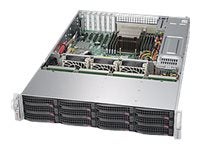 Server Supermicro Perfekt