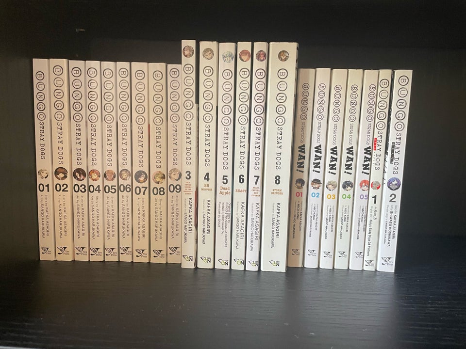 Bungo Stray Dogs manga