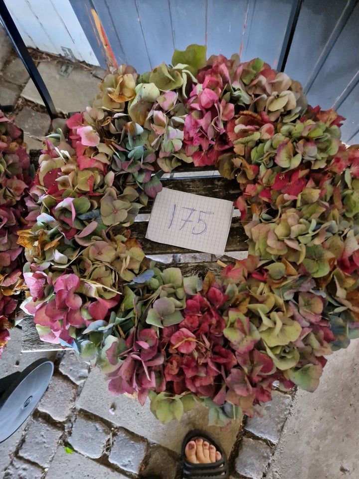 Store og tykke hortensia kranse