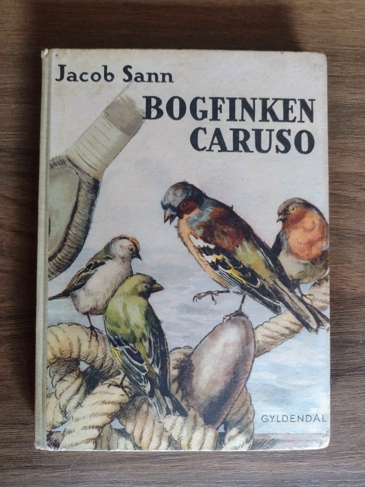 Bogfinken Caruso Jacob Sann