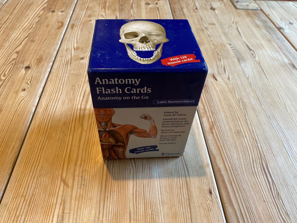 Anatomy Flash Cards-Anatomy om the