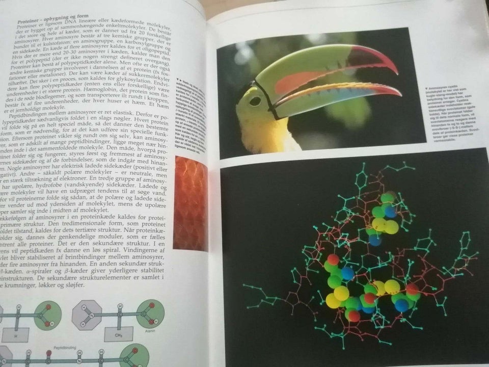 Bioteknologi-Videnskabens