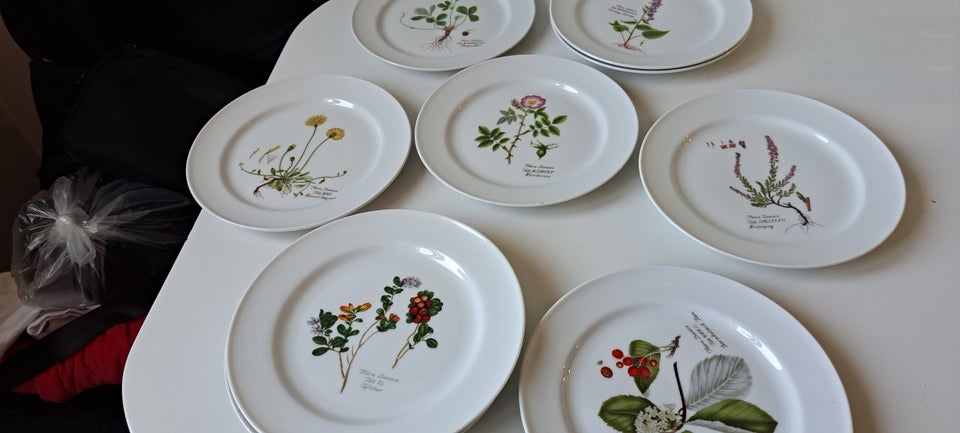 Porcelæn Frokost tallerkener