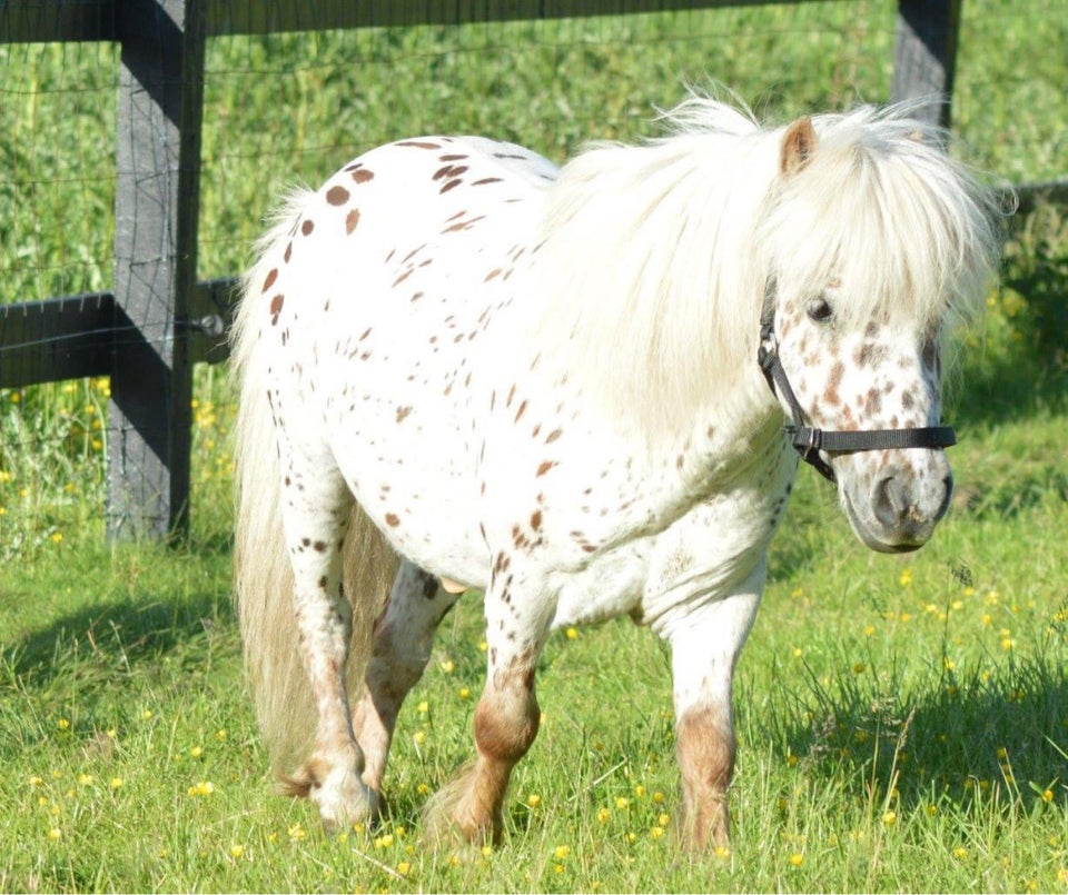 Bedækning tilbydes