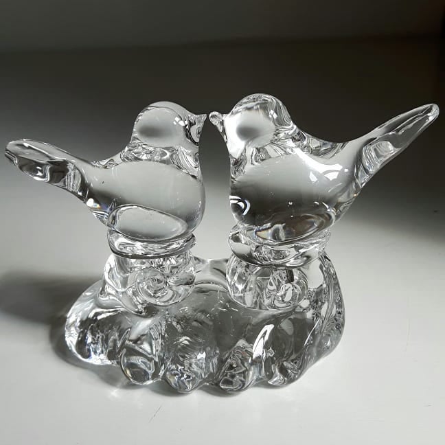 Glasfugle Fugle Love Birds