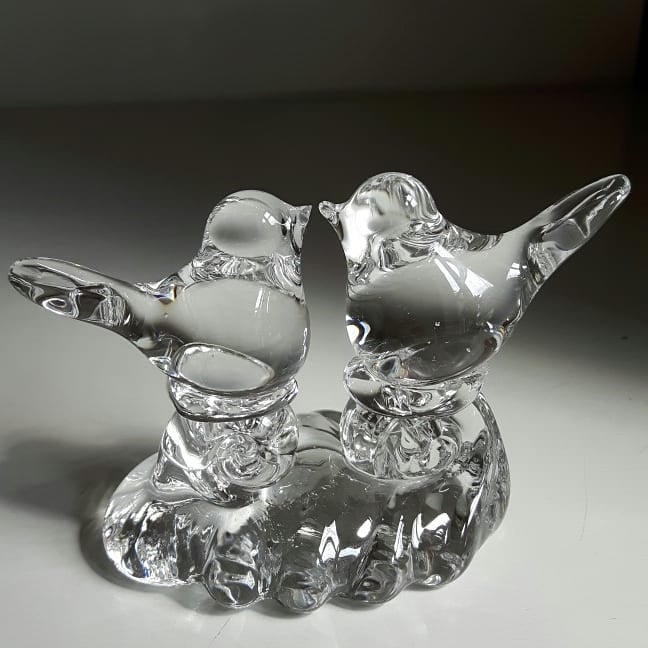 Glasfugle Fugle Love Birds