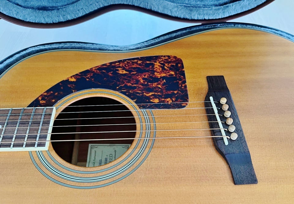 Western, Epiphone Masterbilt