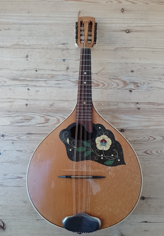 Mandolin, Mandolin 8 Strenget