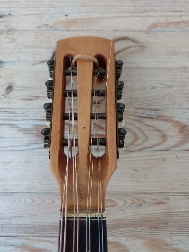 Mandolin, Mandolin 8 Strenget