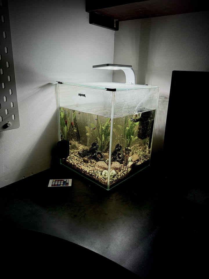 Akvarium, 30 liter