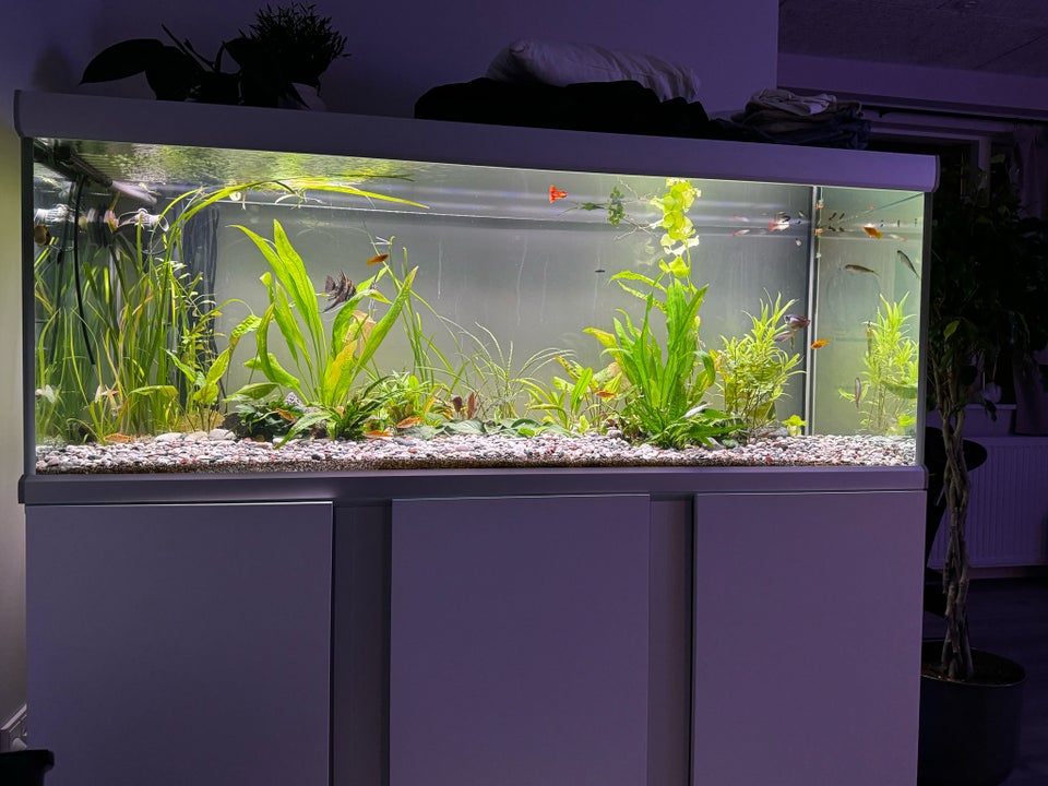 Akvarium, 576 liter, b: 160