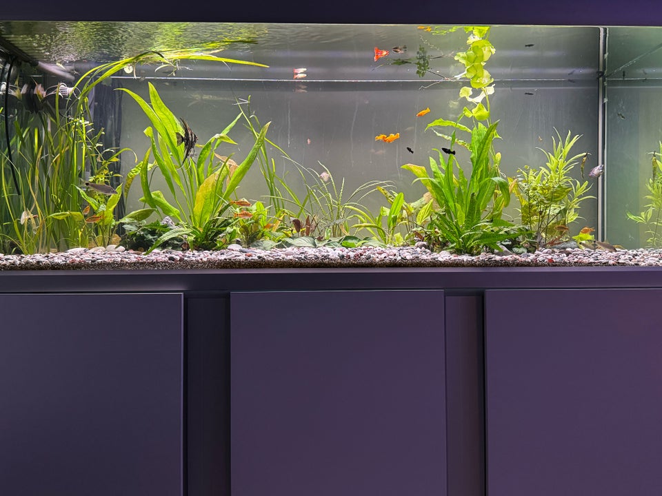 Akvarium, 576 liter, b: 160